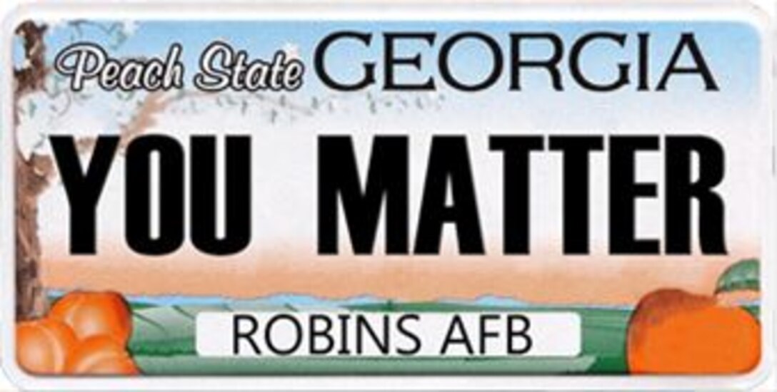 Desk top icon for IDS, Integrated Delivery System. (U. S. Air Force illustration by Tommie Horton)