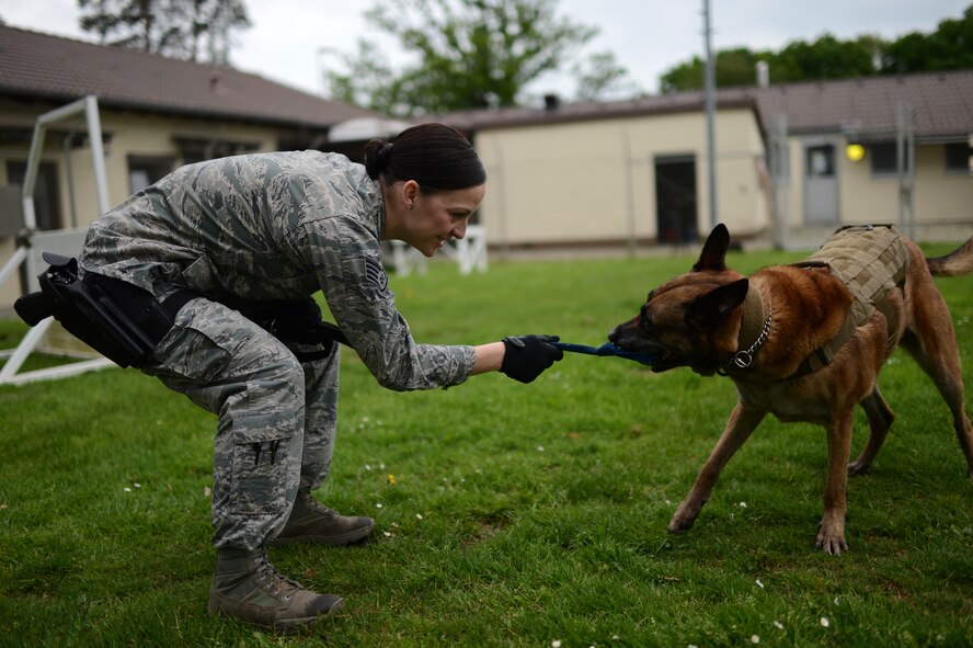 U.S. Air Force Staff Sgt. Shannon Hennessy, 52nd Security Forces Squadron military working dog handler from Colusa, Calif., plays with her military working dog, Katya, after an obedience training course at Spangdahlem Air Base, Germany, May 27, 2014. The 52nd SFS military working dog unit uses German Shepherds and Belgian Malinois as the breed of choice for training and operations. (U.S. Air Force photo by Senior Airman Gustavo Castillo/Released)