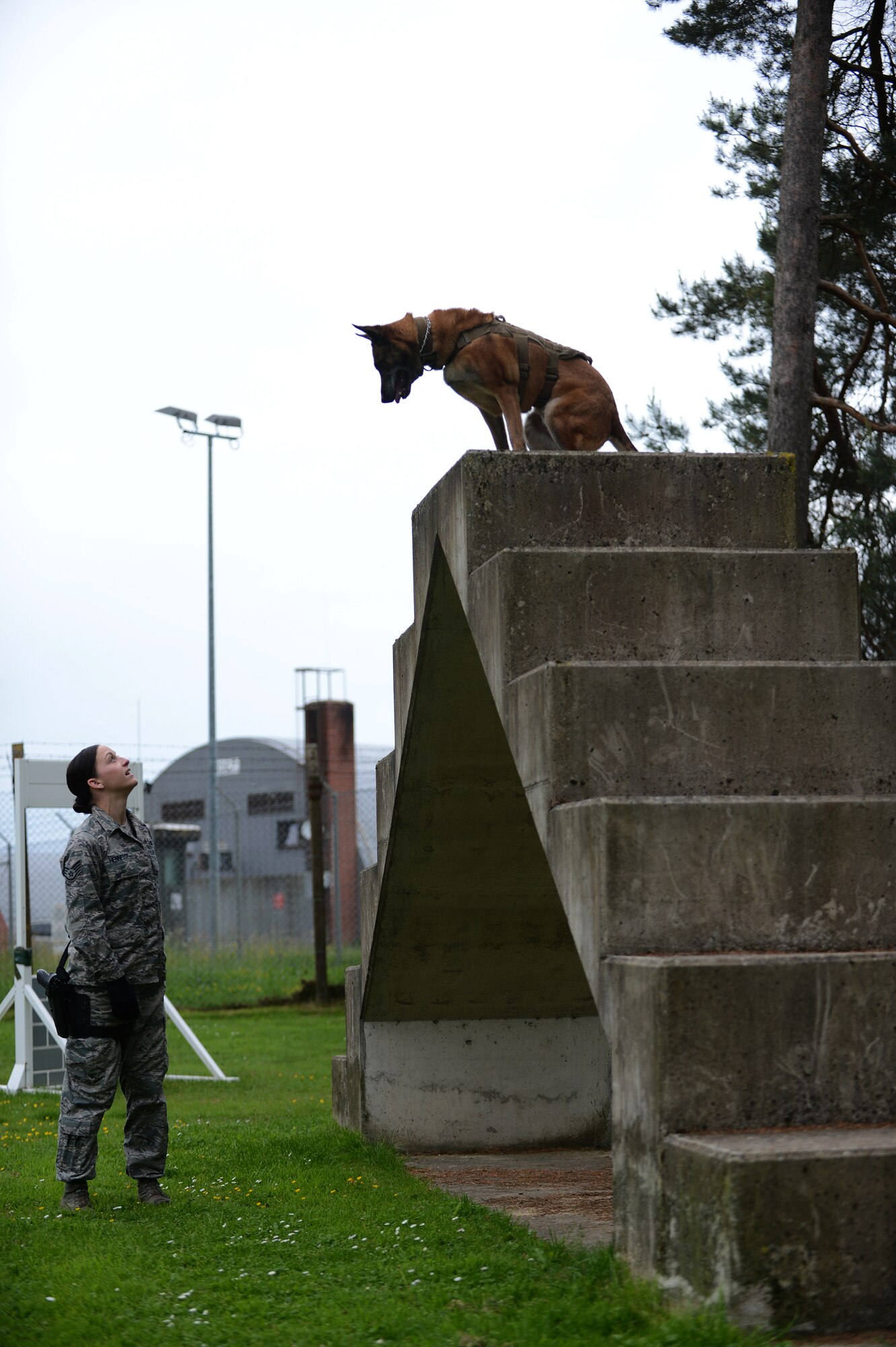 U.S. Air Force Staff Sgt. Shannon Hennessy, 52nd Security Forces Squadron military working dog handler from Colusa, Calif., commands her dog, Katya, to sit during an obedience training course at Spangdahlem Air Base, Germany, May 27, 2014. Dog handlers direct their dogs through an obedience course at least once every work cycle, or approximately every four days. (U.S. Air Force photo by Senior Airman Gustavo Castillo/Released)
