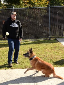Former U.S. Army Sgt. Matthew Bedortha, previously assigned to the 3rd Military Police Det., plays with Shay, a 10-year-old military working dog at Fort Eustis, Va., Oct., 31, 2014. Bedortha started the adoption process as he and Shay both began to transition from military service. (U.S. Air Force photo by Staff Sgt. Teresa J. Cleveland/Released)