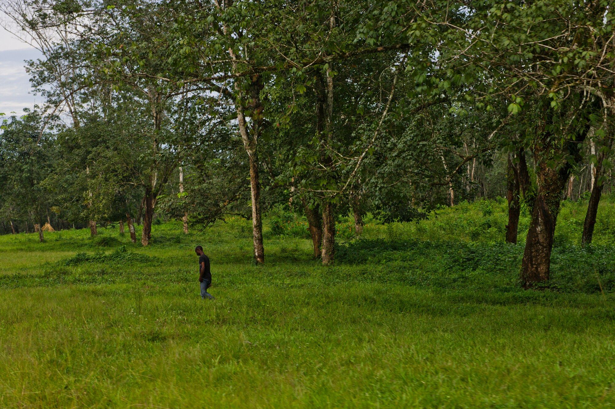 A local Liberian walks across a field here, during Operation United Assistance, Oct. 31, 2014. OUA is a U.S. Joint Forces Command-led operation to provide command and control, logistics, training and engineering support to the U.S. government’s efforts to contain the Ebola virus outbreak in West African nations. (U.S. Air Force photo by Staff Sgt. Gustavo Gonzalez/Released)