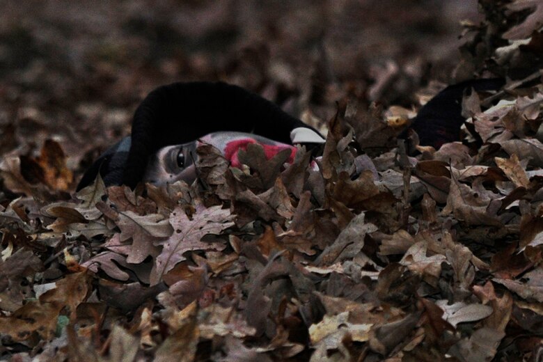 Caleb, son of Master Sgt. Matt Cagle, 744th Communications Squadron, hides in a pile of leaves during the Zombie Apocalypse Run at Joint Base Andrews, Md., Oct. 30, 2014. Zombie volunteers hid in various locations around the Military Personnel Squadron track to scare participants walking or running. (U.S. Air Force photo/ Senior Airman Nesha Humes)