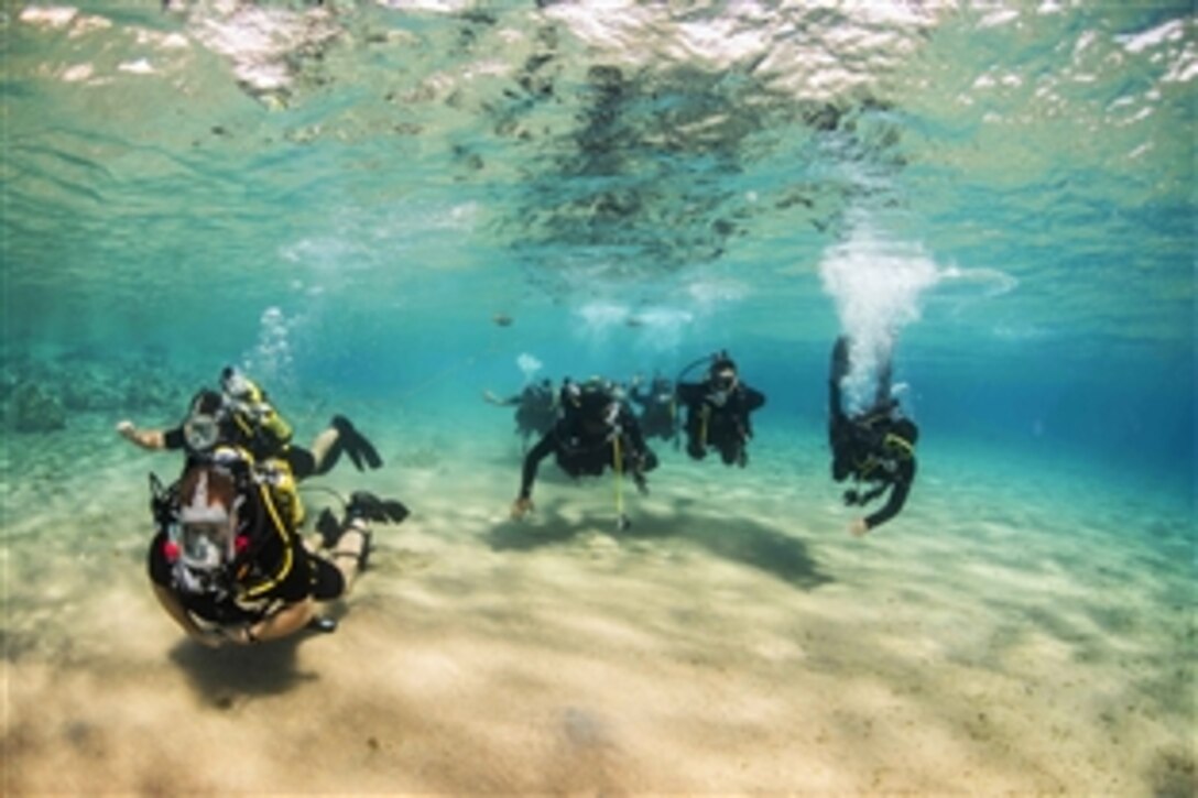 U.S. Navy divers and divers from the Royal Naval Force of Jordan conduct a search dive while participating in International Mine Countermeasures Exercise in the Gulf of Aqaba, Jordan, Oct. 29, 2014. IMCMEX includes navies from 44 countries whose focus is to promote regional security through mine countermeasure operations in the U.S. 5th Fleet area of responsibility. The Navy divers are assigned to the Fleet Diving Unit 3, assigned to Task Group 523.3.