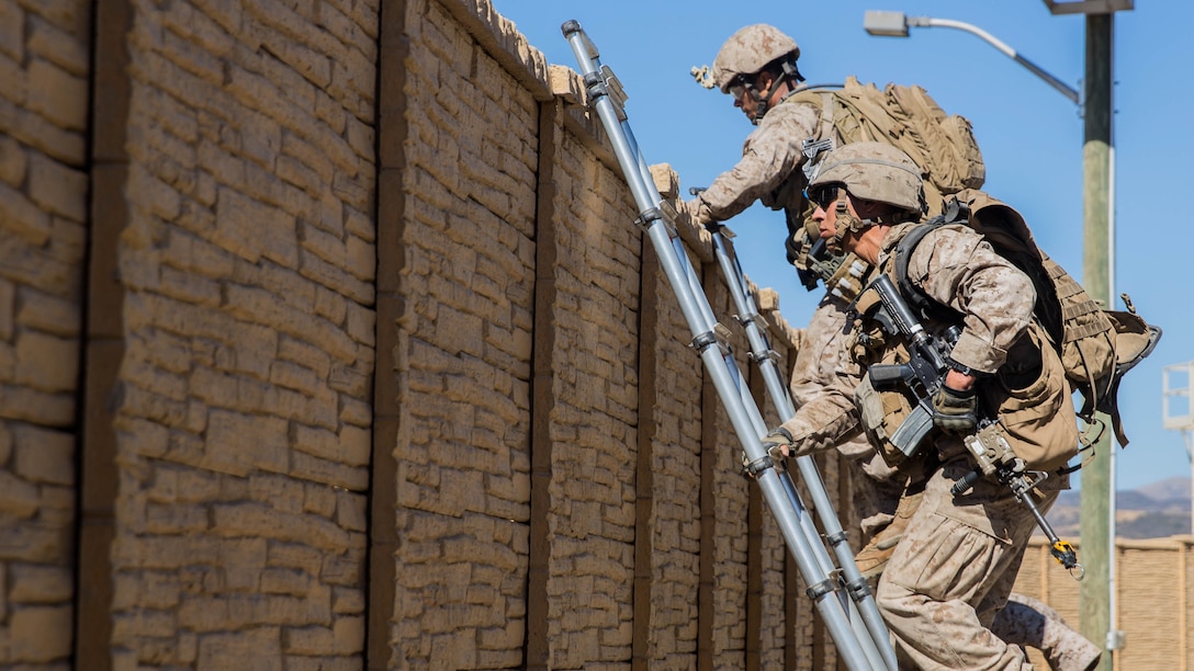 U.S. Marines with Lima Company, Battalion Landing Team 3rd Battalion, 1st Marine Regiment, 15th Marine Expeditionary Unit, use ladders to breach a fence during a vertical-assault raid course aboard Camp Pendleton, Calif., Oct. 29, 2014. The course teaches vertical assault techniques and the importance of working together as a cohesive unit during a raid. 