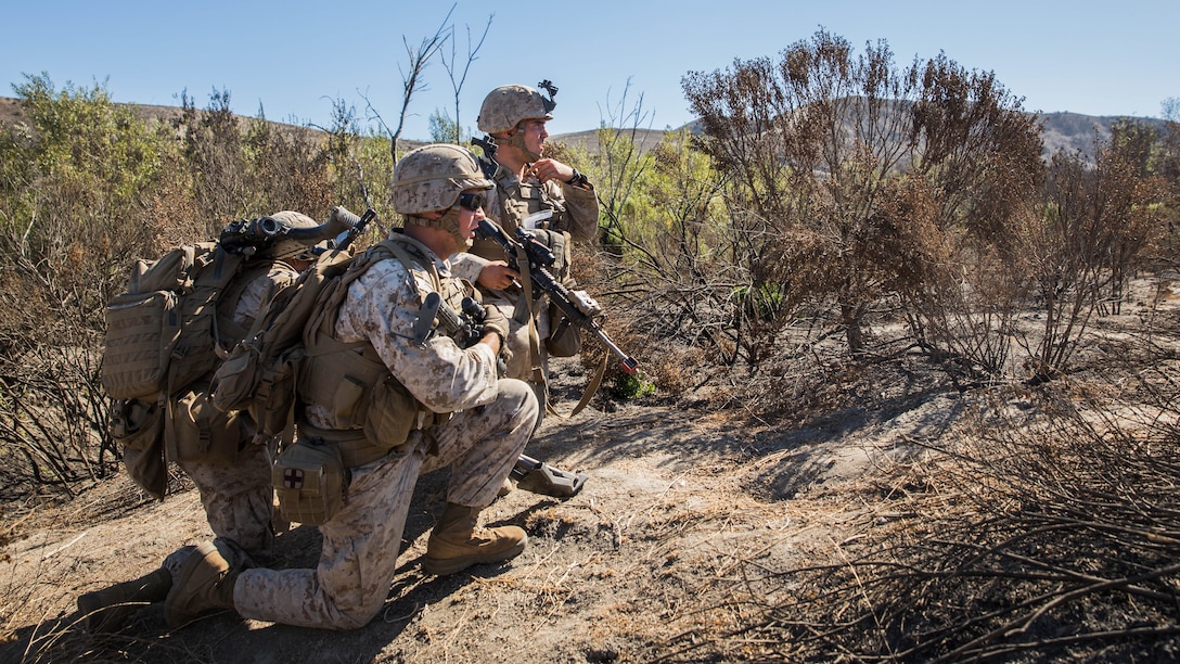 U.S. Marines with Lima Company, Battalion Landing Team 3rd Battalion, 1st Marine Regiment, 15th Marine Expeditionary Unit, coordinate an assault on a target during a vertical-assault raid course aboard Camp Pendleton, Calif., Oct. 29, 2014. The course teaches vertical assault techniques and the importance of working together as a cohesive unit during a raid. 
