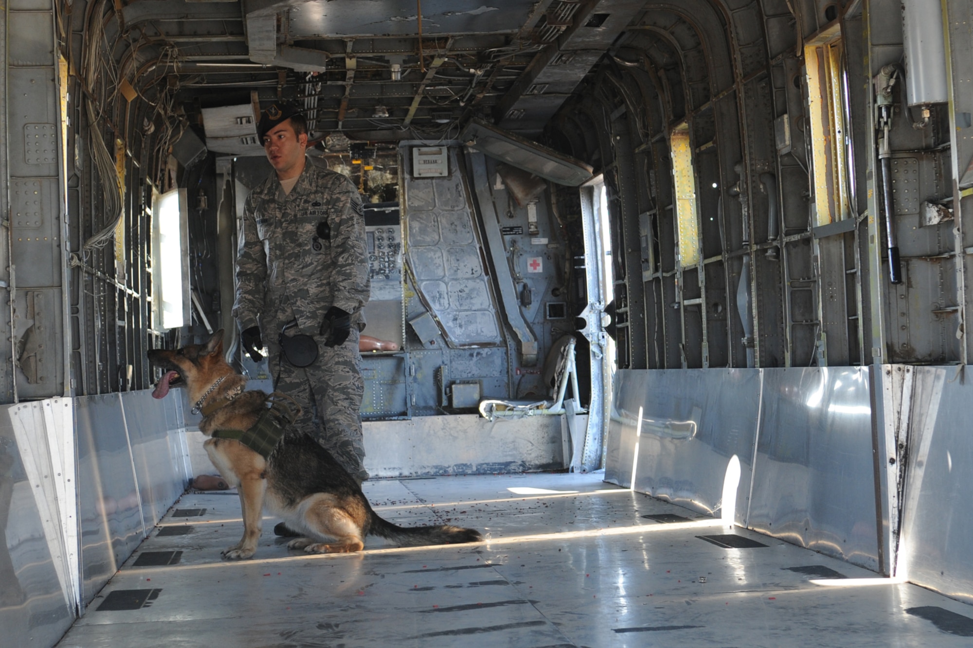 GOODFELLOW AIR FORCE BASE, Texas -- Ema, 17th Security Forces Squadron military working dog, sits down to indicate to Staff Sgt. Tyler D. Wiseman,  17th SFS MWD handler, that she has found the training aid inside a CH-53A Sea Stallion helicopter during Ema’s annual recertification process Oct. 30. Annual recertification ensures explosive and narcotic detection dogs are ready to protect the safety of the base and its personnel. (U.S. Air Force photo/ Staff. Sgt. Laura R. McFarlane)