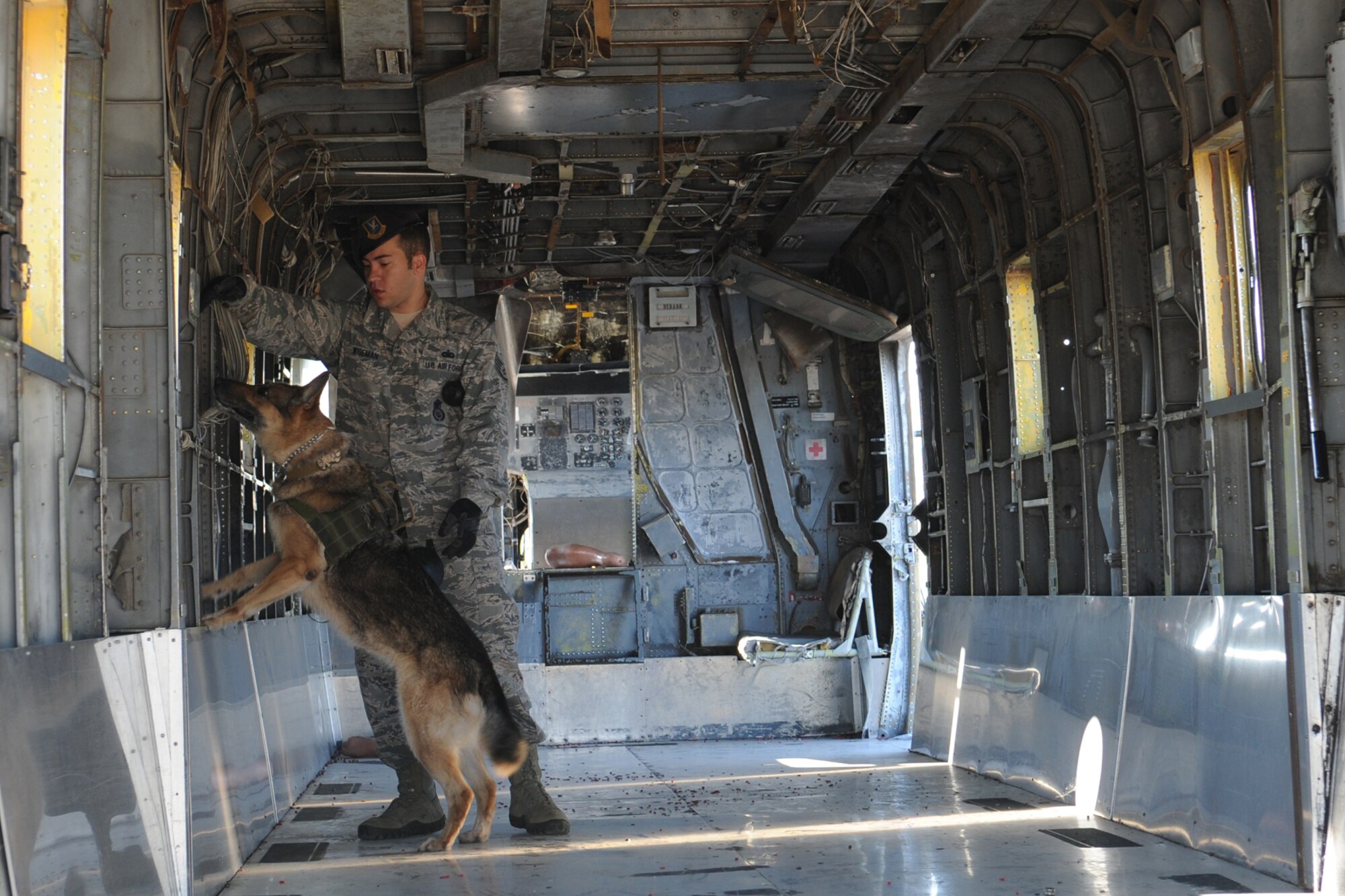 GOODFELLOW AIR FORCE BASE, Texas -- Staff Sgt. Tyler D. Wiseman, 17th Security Forces Squadron military working dog handler, and Ema, 17th SFS MWD, conduct a search inside a CH-53A Sea Stallion helicopter during Ema’s annual recertification process Oct. 30. The 17th Mission Support Group Commander administered the recertification process and Ema received a perfect score. (U.S. Air Force photo/ Staff. Sgt. Laura R. McFarlane) 