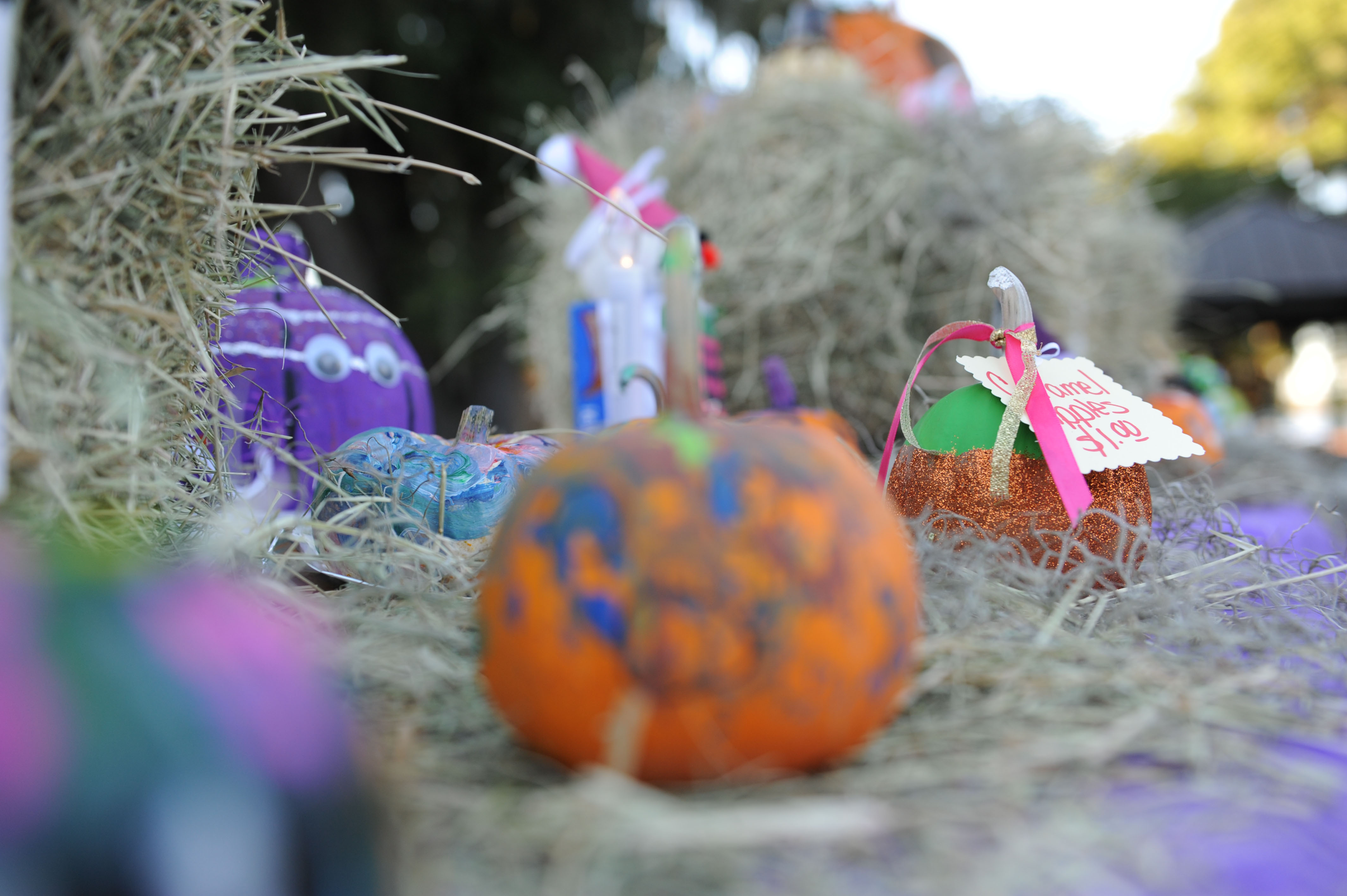 Ghouls In The Park Delivers Scares Treats