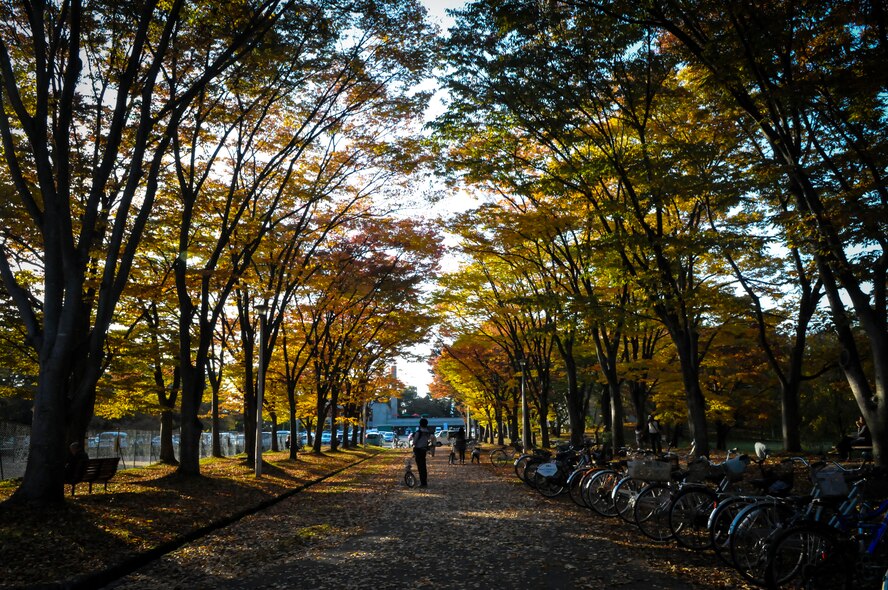 A father steadies his child's bike as he tours the park at Hirosaki castle, Hirosaki, Japan, Oct. 25, 2014. Hirosaki Castle grounds contain many different areas for sightseeing including numerous parks, gardens and bridges, giving an advantageous look at the towering castle and surrounding gates. (U.S. Air Force photo by Airman 1st Class Patrick S. Ciccarone/Released)

