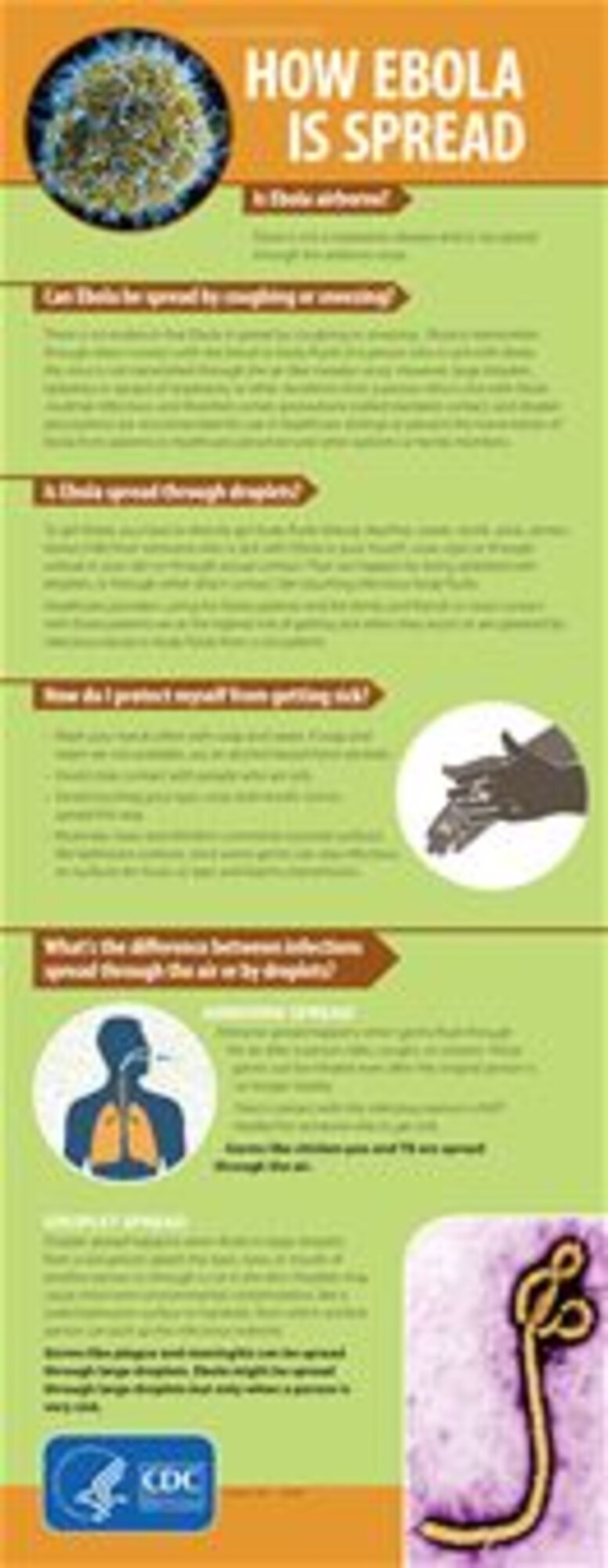 HOW EBOLA IS SPREAD
