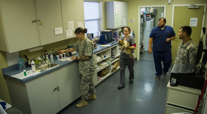 Staff from the Joint Base Charleston Veterinarian Treatment Facility carry out their normal duties Nov. 4, 2014, at the VTF on JB Charleston, S.C. The VTF provides the same high quality veterinary care expected from civilian clinics. The price is often lower for many services such as spaying, neutering, dental cleanings and mass removals. (U.S. Air Force photo/Airman 1st Class Clayton Cupit)