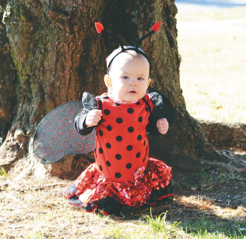 This charming ladybug was found enjoying the sunshine and fresh air in front of Little Hall on Oct. 31 after the trick-or-treating event for young children.