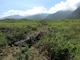 Makanalua Range