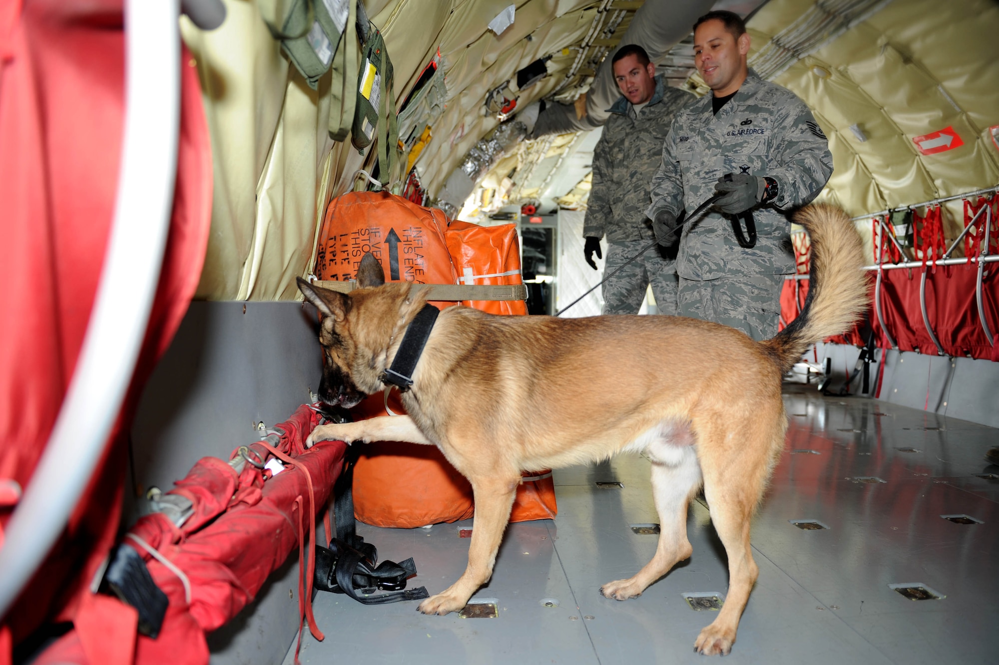 Tech. Sgt. Max Soto, 22nd Security Forces Squadron kennel master, and Iras, Military Working Dog, work together to find drugs that were placed on a KC-135R Stratotanker as part of a training exercise, Nov. 7, at McConnell Air Force Base, Kan. Iras placed his paw to indicate the location of the drugs. (U.S. Air Force photo/Airman 1st Class Tara Fadenrecht)