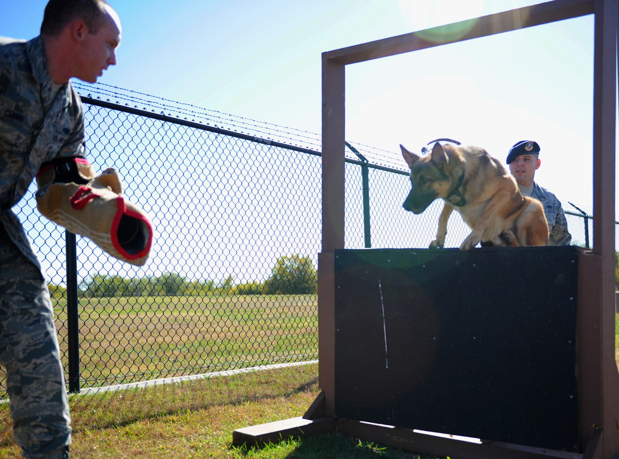 Tech. Sgt. Max Soto, 22nd Security Forces Squadron kennel master, instructs Iras, the wing’s youngest military working dog, to jump through a window and attack an adversary, Oct. 29, 2014, at McConnell Air Force Base, Kan. Two-year old Iras recently completed ‘basic training’ at Joint Base San Antonio, Texas, and is now stationed at McConnell where he will complete his upgrade training. (U.S. Air Force photo/Airman 1st Class Tara Fadenrecht)