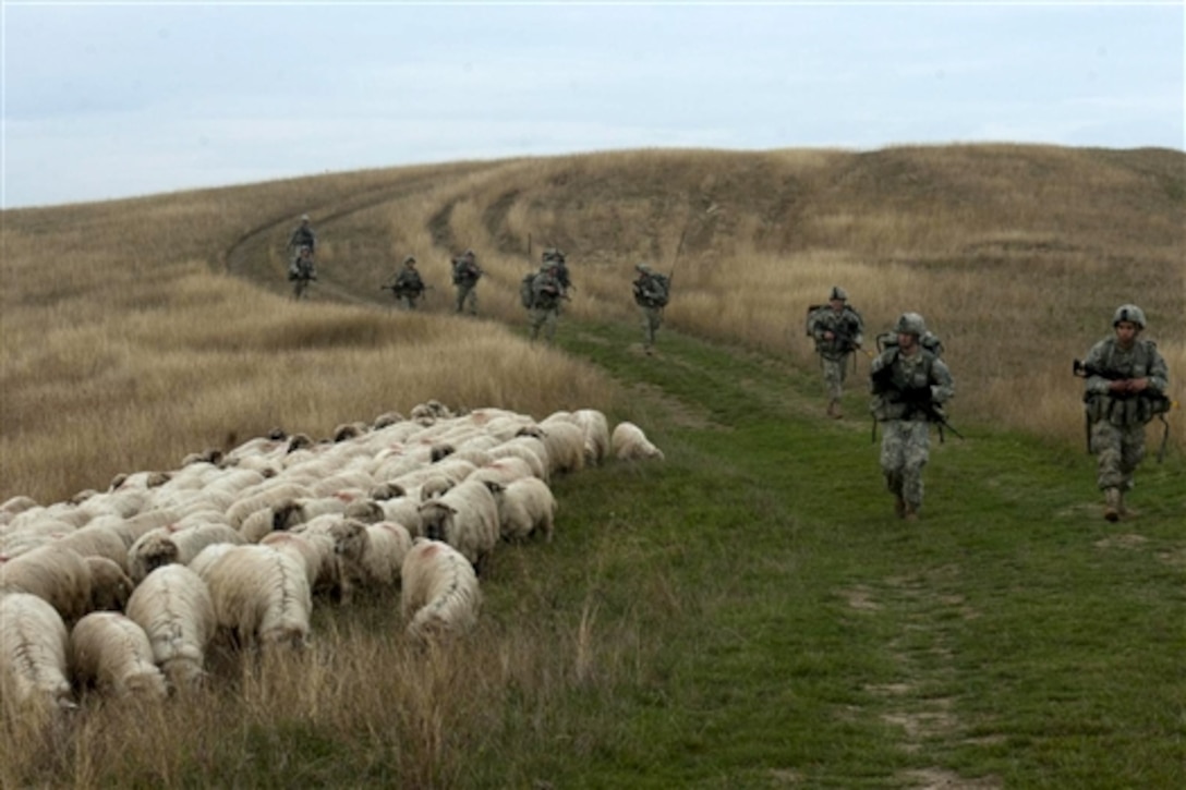 U.S. Army paratroopers from 1st Squadron, 91st Cavalry Regiment, 173rd Airborne Brigade, mix with local livestock during an emergency deployment readiness exercise in Transylvania, Romania, Oct. 22, 2014. 