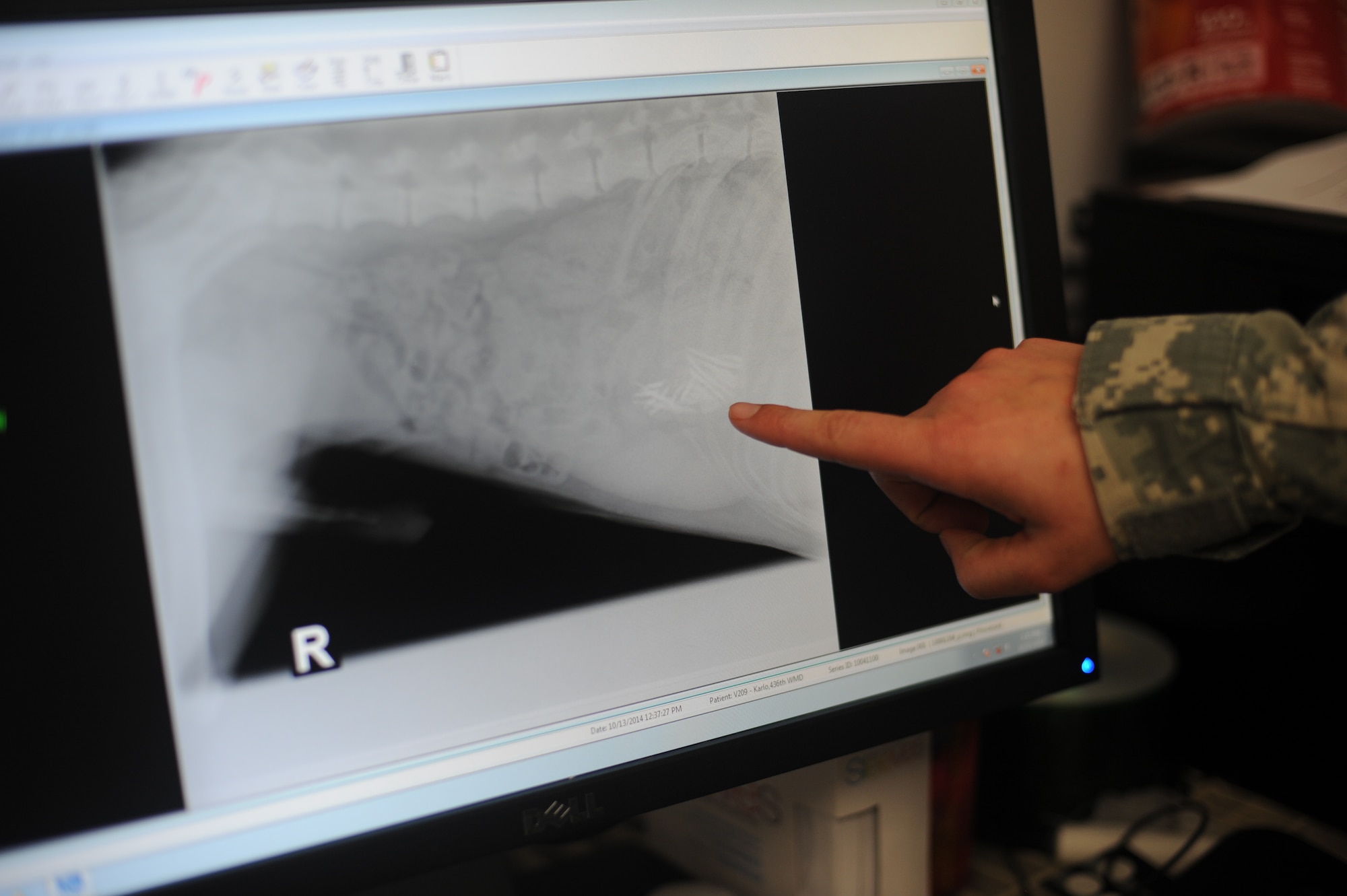 Army Capt. Amanda Jeffries, Chief of Dover Branch Veterinary Services, examines a radiograph of a canine October 15, 2014, at the Veterinary Treatment Facility on Dover Air Force Base, Del. The VTF conducts regular health exams, blood work, radiographs and dental cleanings of Dover’s Military Working Dogs. (U.S. Air Force photo by Staff Sgt. Elizabeth Morris)