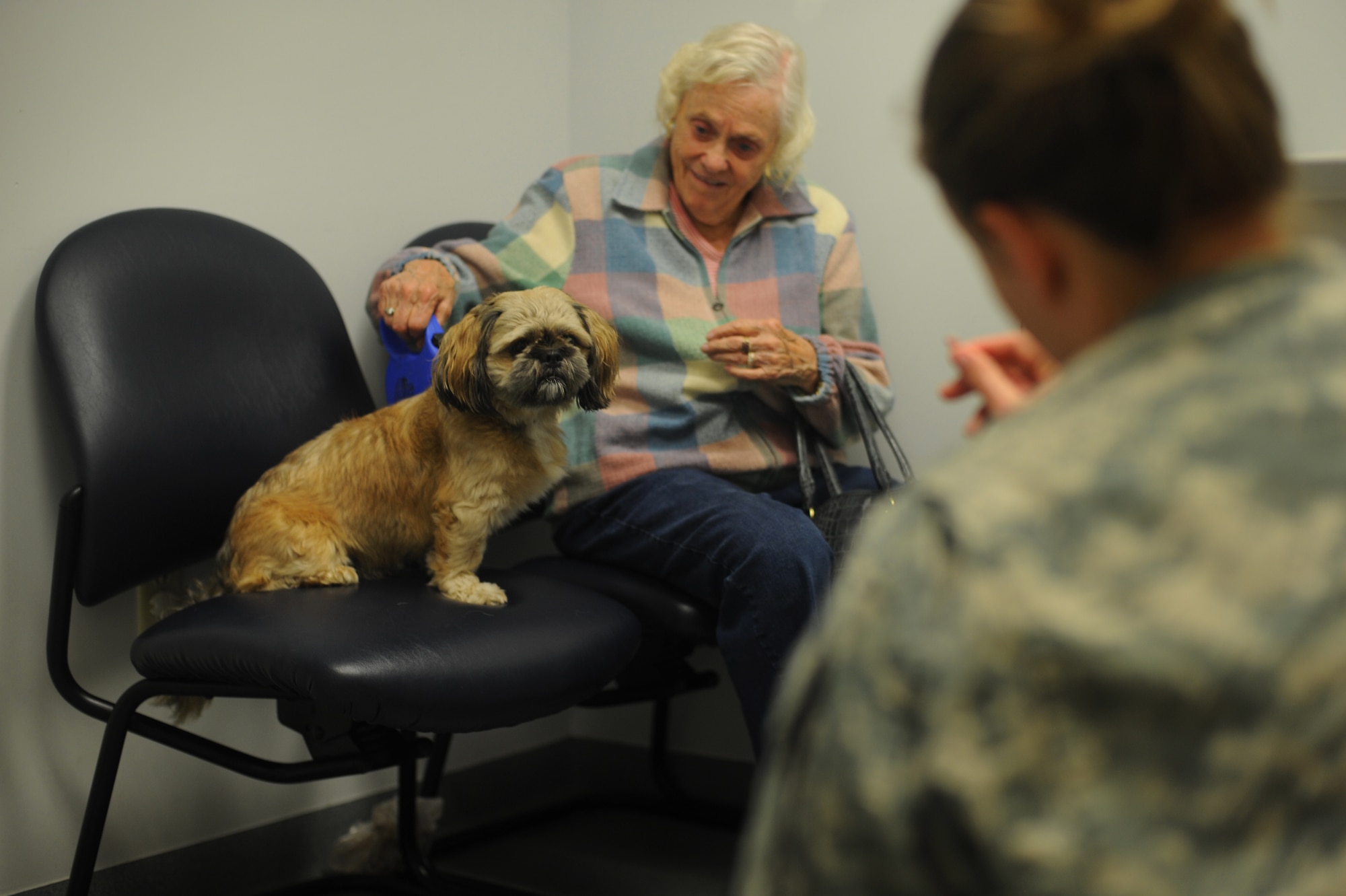 Army Capt. Amanda Jeffries, Chief of Dover Branch Veterinary Services, offers Murphy a treat after his examination, while his owner, Maryann Khane watches October 15, 2014, at the Veterinary Treatment Facility on Dover Air Force Base, Del. The VTF can accept same day sick call appointments for routine issues. (U.S. Air Force photo by Staff Sgt. Elizabeth Morris)