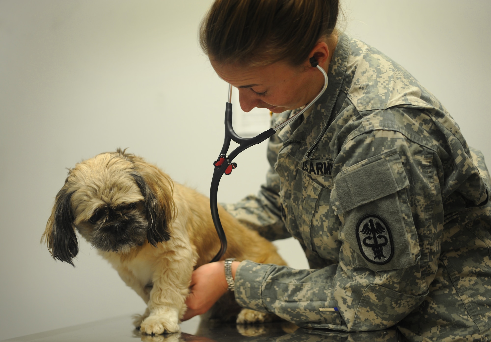 Army Capt. Amanda Jeffries, Chief of Dover Branch Veterinary Services, examines Murphy, a privately owned dog October 15, 2014, at the Veterinary Treatment Facility on Dover Air Force Base, Del. The VTF offers preventative medicine for privately owned animals of service members, retirees, Reservists and National Guard members. (U.S. Air Force photo by Staff Sgt. Elizabeth Morris)