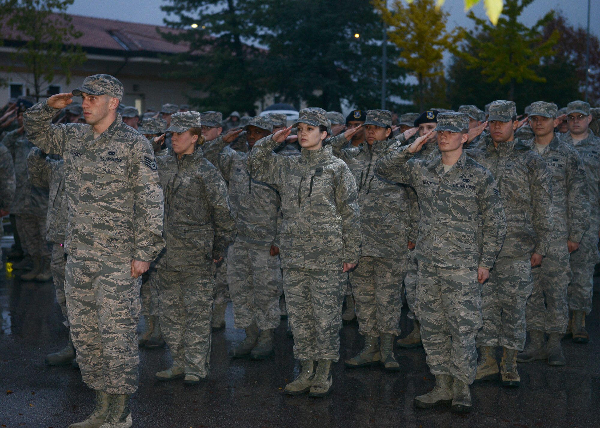A formation of Airmen salute during a Veterans Day cememony, Nov. 10, 2014, at Aviano Air Base, Italy. Veterans Day is observed annually on November 11 and honors those who have served in the U.S. armed services.  (U.S. Air Force photo/Airman 1st Class Deana Heitzman)