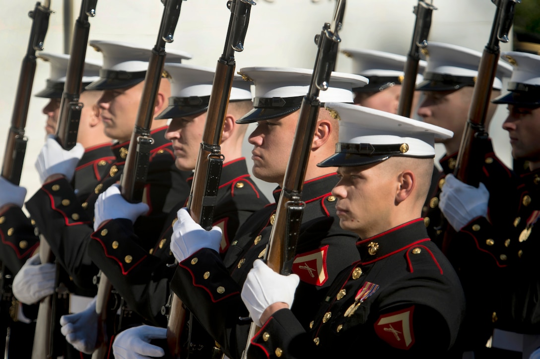The Marine Corps Honor Guard participates in the Veterans Day wreath-laying ceremony at the Tomb of the Unknowns at Arlington National Cemetery in Arlington, Va., Nov. 11, 2014. 
