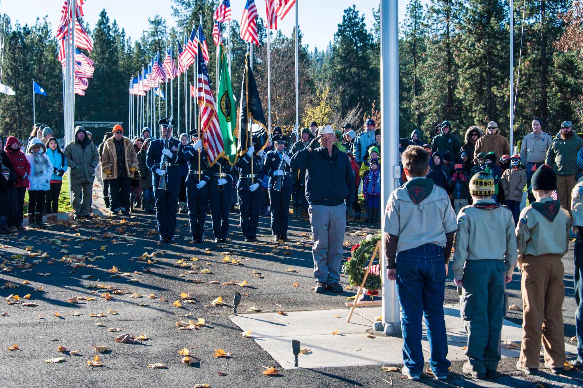 Despite frigid temperatures and gusty winds, an Airway Heights’ Veterans of Foreign Wars Post 3386 member renders a salute as fellow community members, Fairchild Air Force Base’s Honor Guard and Boy Scout Troop 342 brave the cold during the wreath dedication portion of a Veterans Day ceremony at Fort George Wright Veterans Cemetery, Nov. 11, 2014, in Spokane, Wash. The VFW, Honor Guard, and Boy Scouts presented the colors, wreaths and honors during this Veterans Day ceremony that brought service and community members together. Veterans Day is a celebration to honor America’s veterans for their patriotism, love of country, and willingness to serve and sacrifice for the common good. (U.S. Air Force photo/Staff Sgt. Benjamin W. Stratton)