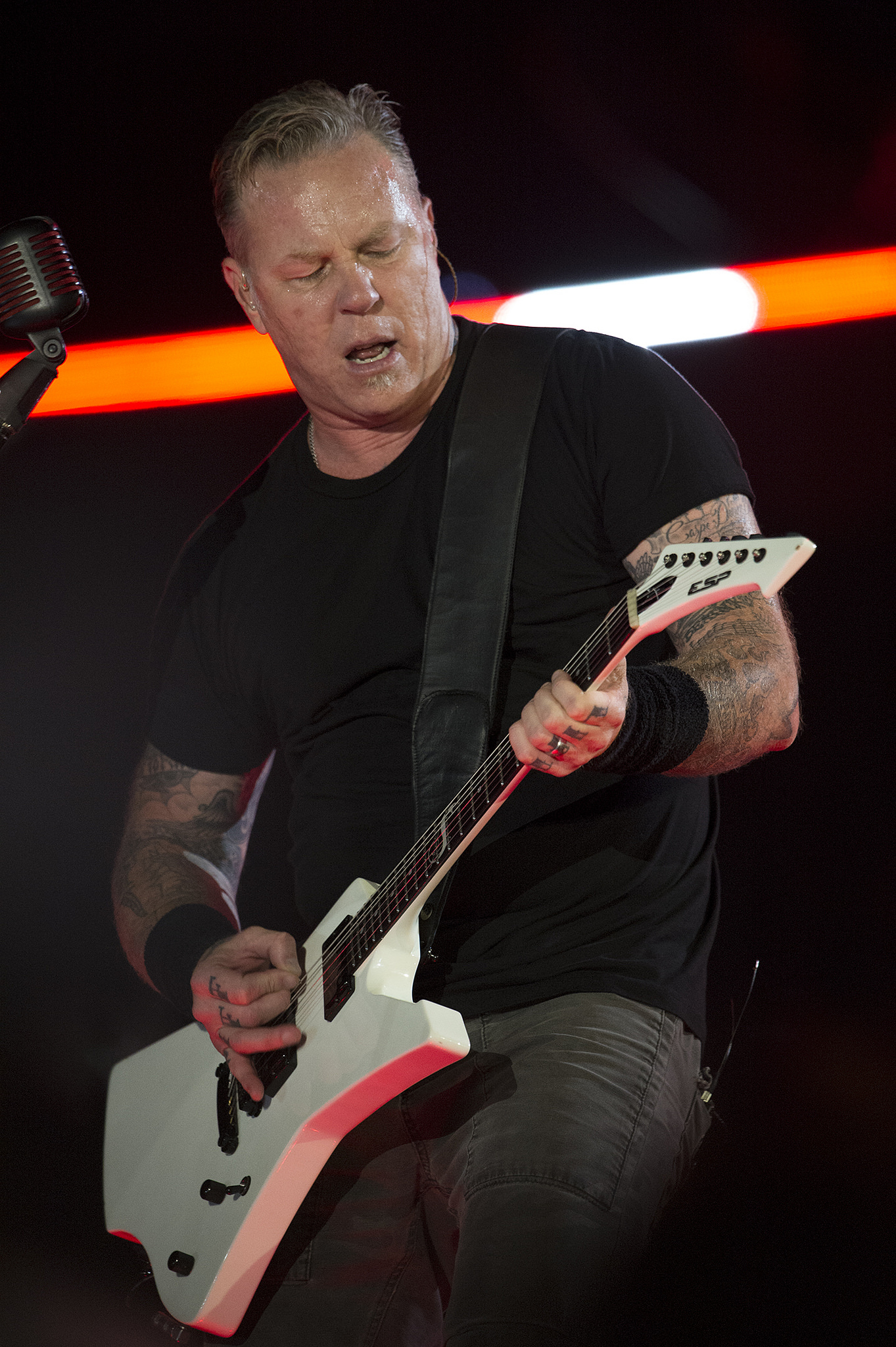Metallica James Hetfield Guitar