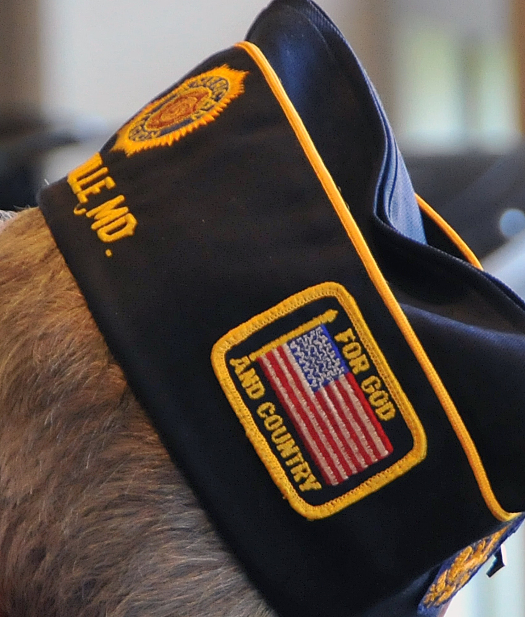 Nearly 100 senior citizens – including two-dozen military veterans – met with Army Reserve Ambassador Robert H. Beahm during a Veterans Day ceremony Nov. 11 at the Oak Crest Village retirement community in Parkville, Md. Beahm is a graduate of the U.S. Military Academy at West Point and Vietnam War veteran who spent 30 years serving in the Army and Army Reserve before retiring as a brigadier general. For more information on the ARA program, visit http://www.usar.army.mil/community/ambassadors/Pages/default.aspx (U.S. Army photo by Staff Sgt. Shawn Morris/Released)