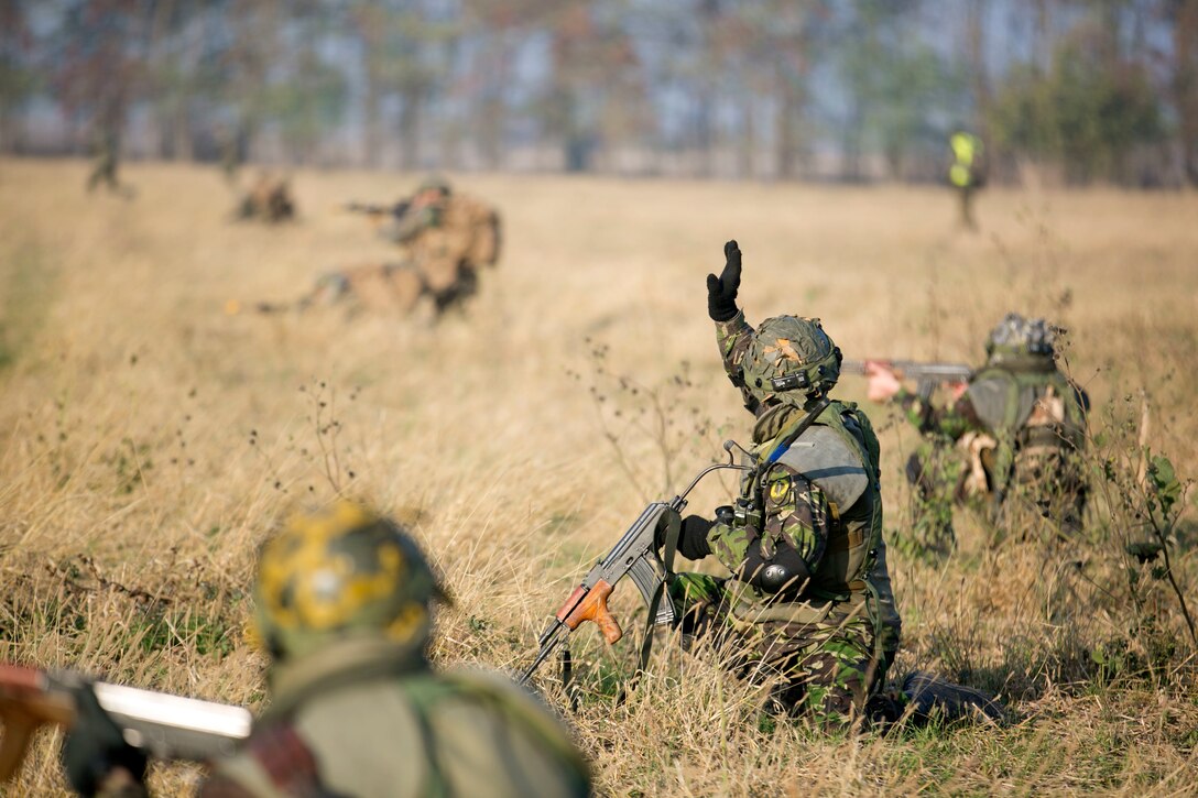 A Romanian soldier calls for a pause in movement during a patrol exercise on Platinum Lynx 15.3 in Focsani, Romania. Marines and Sailors on Black Sea Rotational Force 14 worked hand-in-hand with Romanian Land Forces during the exercise. (U.S. Marine Corps photo by Lance Cpl. Ryan Young/released)