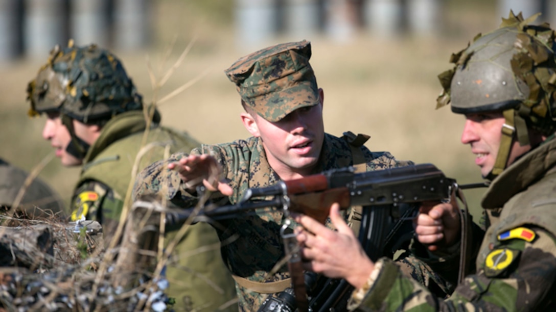 Marines and Sailors on Black Sea Rotational Force 14 worked hand-in-hand with Romanian Land Forces during exercise Platinum Lynx 15.3 in Focsani, Romania. Training included weapons familiarization classes, live-fire ranges and call-for-fire ranges, among more. The service members also participated in shooting competitions and sports competitions with their Romanian partners. Cohesion between Marines and the Romanian Land Forces was bolstered through this exercise. (U.S. Marine Corps photo by Lance Cpl. Ryan Young/released)