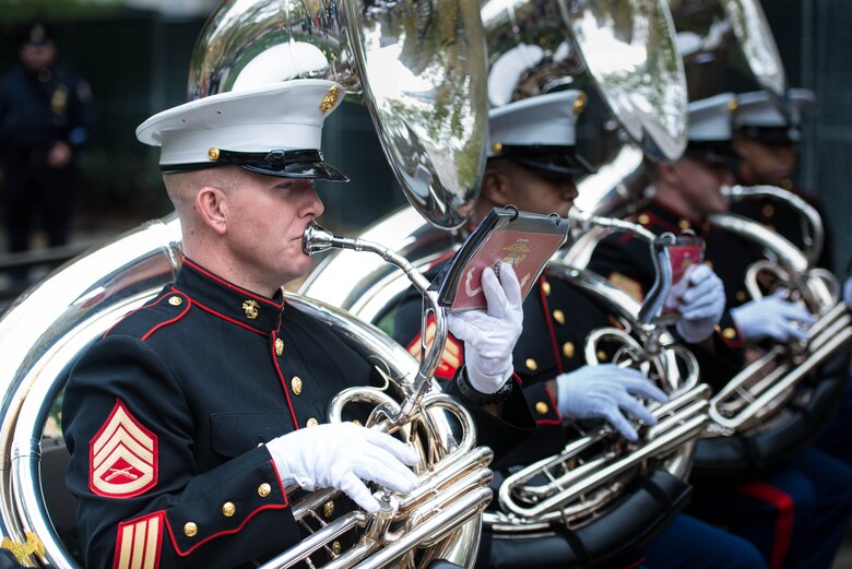 The poppy for veterans day