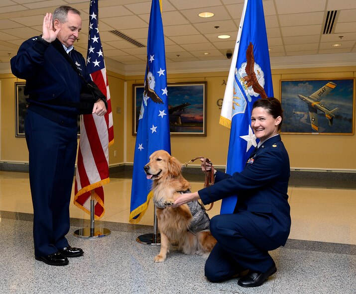 Second Lt. Goldie, a therapy dog from Walter Reed Bethesda Hospital, is administered the oath of office from Air Force Chief of Staff Gen. Mark A. Welsh III , with Goldie’s handler, Maj. Regina Owens, a psychiatric nurse, during a promotion ceremony to the rank of major, Nov. 12, 2014, in the Pentagon.  Goldie, along with a team of therapy dogs, provides comfort to the hospital's patients and family members.  (U.S. Air Force photo/Scott M. Ash)  