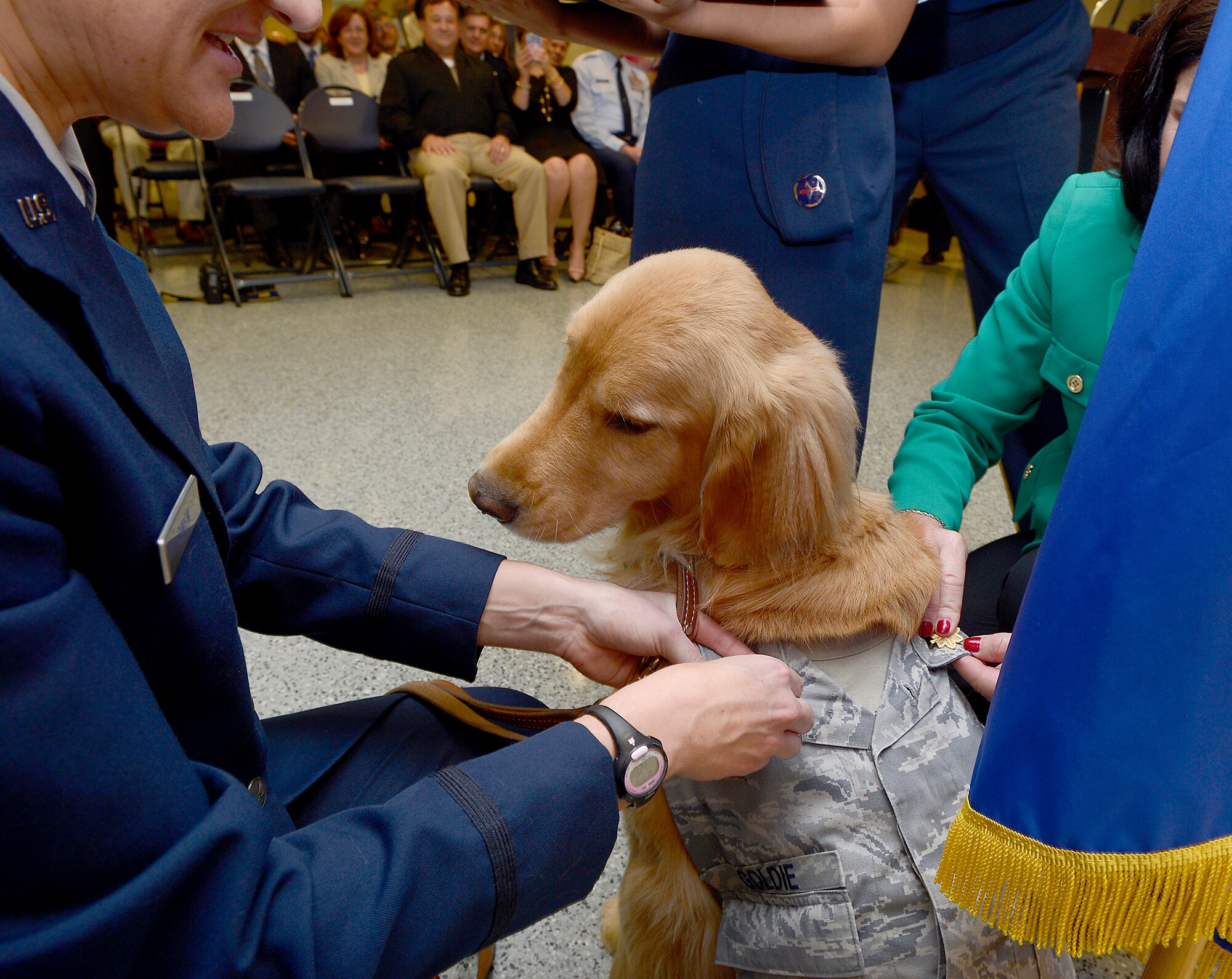 Second Lt. Goldie, a therapy dog from Walter Reed National Military Medical Center, receives his oak leaf clusters for the rank of major, with his handler, Maj. Regina Owens, a psychiatric nurse, Nov. 12, 2014, in the Pentagon. Air Force Chief of Staff Gen. Mark A. Welsh III hosted the ceremony to highlight one of Secretary of the Air Force Deborah Lee James' priority, "Taking Care of People." Goldie, along with a team of therapy dogs, provides comfort to the hospital's patients and family members.  (U.S. Air Force photo/Scott M. Ash)  