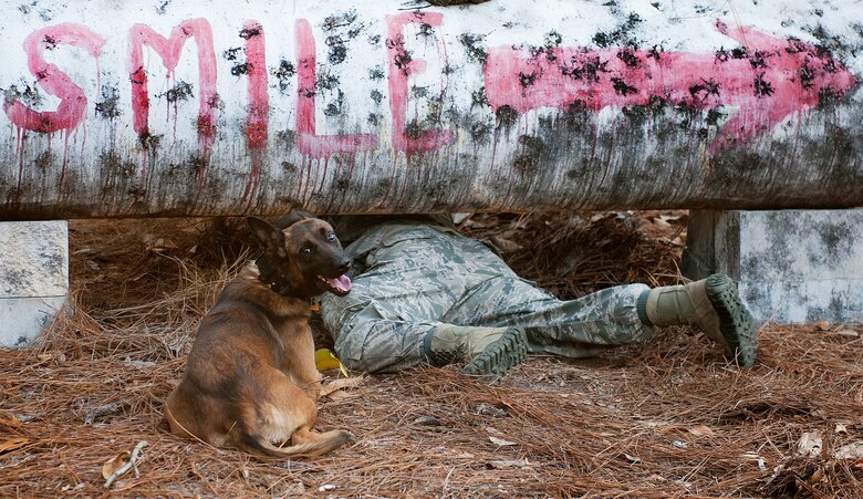 Staff Sgt. Philip Hines, with the 1st Special Operations Security Forces Squadron military working dog handler, and his partner, Szuli, crawl under an obstacle during the Emerald Coast K-9 Clash at Hurlburt Field, Fla., Nov. 15, 2014. The competition allowed Department of Defense military working dog handler teams to test their individual knowledge of dog-handling and exchange experiences with each other. (U.S. Air Force photo/Senior Airman Kentavist P. Brackin)