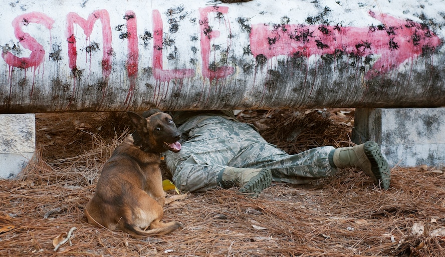 Staff Sgt. Philip Hines, with the 1st Special Operations Security Forces Squadron military working dog handler, and his partner, Szuli, crawl under an obstacle during the Emerald Coast K-9 Clash at Hurlburt Field, Fla., Nov. 15, 2014. The competition allowed Department of Defense military working dog handler teams to test their individual knowledge of dog-handling and exchange experiences with each other. (U.S. Air Force photo/Senior Airman Kentavist P. Brackin)