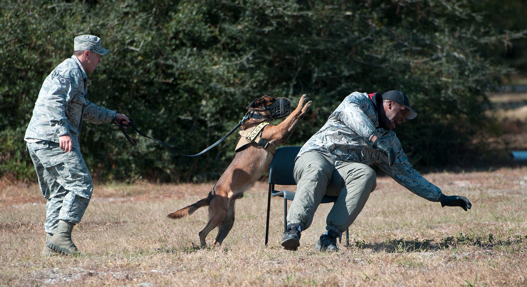 Staff Sgt. Shane Masse, 96th Security Forces Squadron military working dog handler, and his partner, Pako, take down an uncompliant suspect during the Emerald Coast K-9 Clash at Hurlburt Field, Fla., Nov. 15, 2014. Competitors participated in variety of events during the clash, which included searching buildings, navigating a jungle obstacle course and patrolling scenarios. (U.S. Air Force photo/Senior Airman Kentavist P. Brackin)