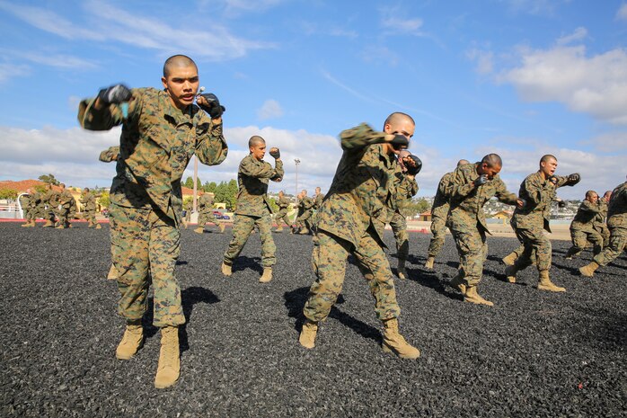 Recruits of Mike Company, 3rd Recruit Training Battalion, execute a hook during the Marine Corps Martial Arts Program test aboard Marine Corps Recruit Depot San Diego, Nov. 12.  During the event, an Instructional Training Company instructor called out techniques recruits needed to execute in order to advance.  