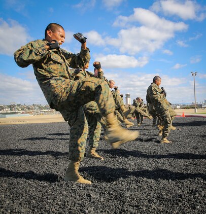 Recruits of Mike Company, 3rd Recruit Training Battalion, execute a front kick during the Marine Corps Martial Arts Program test aboard Marine Corps Recruit Depot San Diego, Nov. 12.  The purpose of the MCMAP test is to ensure recruits retain the martial arts training they received over the course of recruit training.  