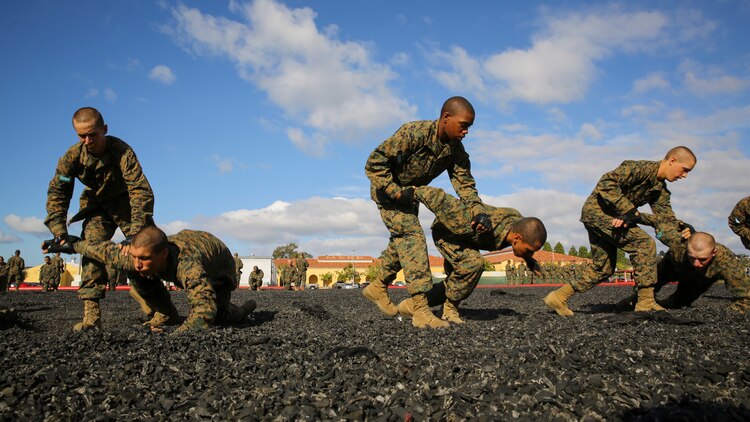 Recruits of Mike Company, 3rd Recruit Training Battalion, execute an arm-bar take down during the Marine Corps Martial Arts Program test aboard Marine Corps Recruit Depot San Diego, Nov. 12.  Recruits perform MCMAP techniques in a rubber tire pit, which allows them to properly execute throws without fear of seriously hurting another recruit.