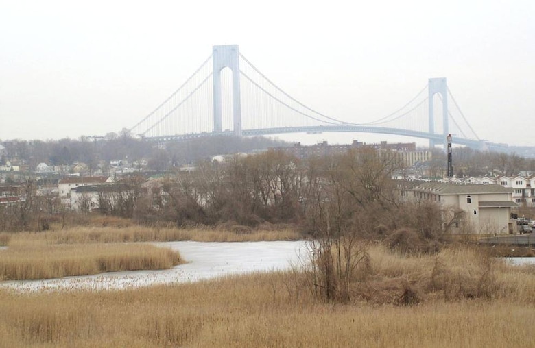 The Verrazano-Narrows Bridge can be seen from the wetlands in the South Beach watershed. 