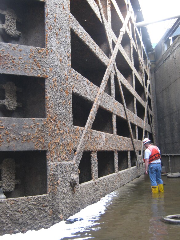 Robert Burstynowicz, a district structural engineer, inspects one of two miter gate leaves at the upstream end of the 84 ft x 600 ft chamber.