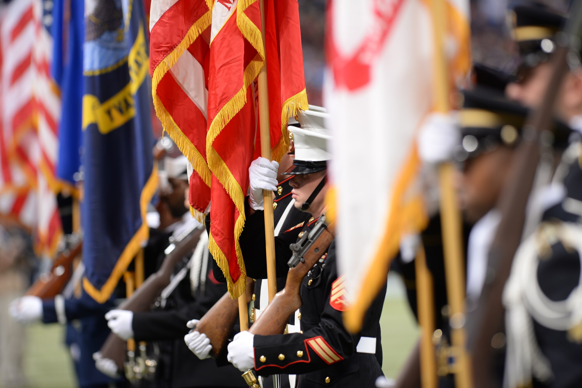 Military honor guards representing every branch of the military march in a Pass-in-Review, where every branch of the Armed Forces were represented  at Military Appreciation Day's halftime ceremony in the Edward Jones Dome, St. Louis, Nov. 16, 2014. The St. Louis Rams went up against the Denver Broncos, with the Rams winning 7-22. The day included honoring wounded warriors as well as honor guards from every branch of the Armed Forces presenting the colors. (U.S. Air Force photo by Airman 1st Class Erica Crossen)