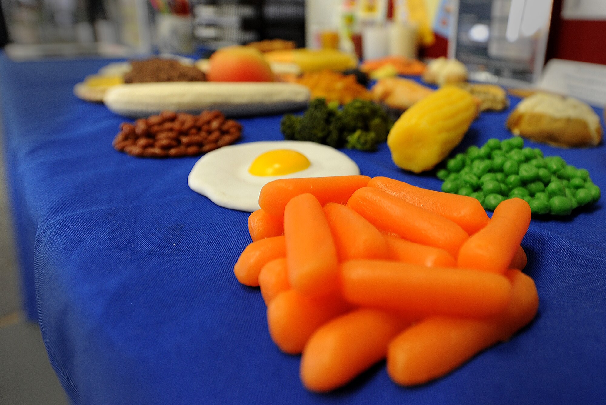 The Ramstein Health and Wellness Center is now offering a healthy life style class for anyone who wants to learn more about eating the right foods to get healthy. During the class, members will be able to see different menus from restaraunts and correct portion sizes for foods they eat. (U.S. Air Force photo/Airman 1st Class Holly Mansfield) 