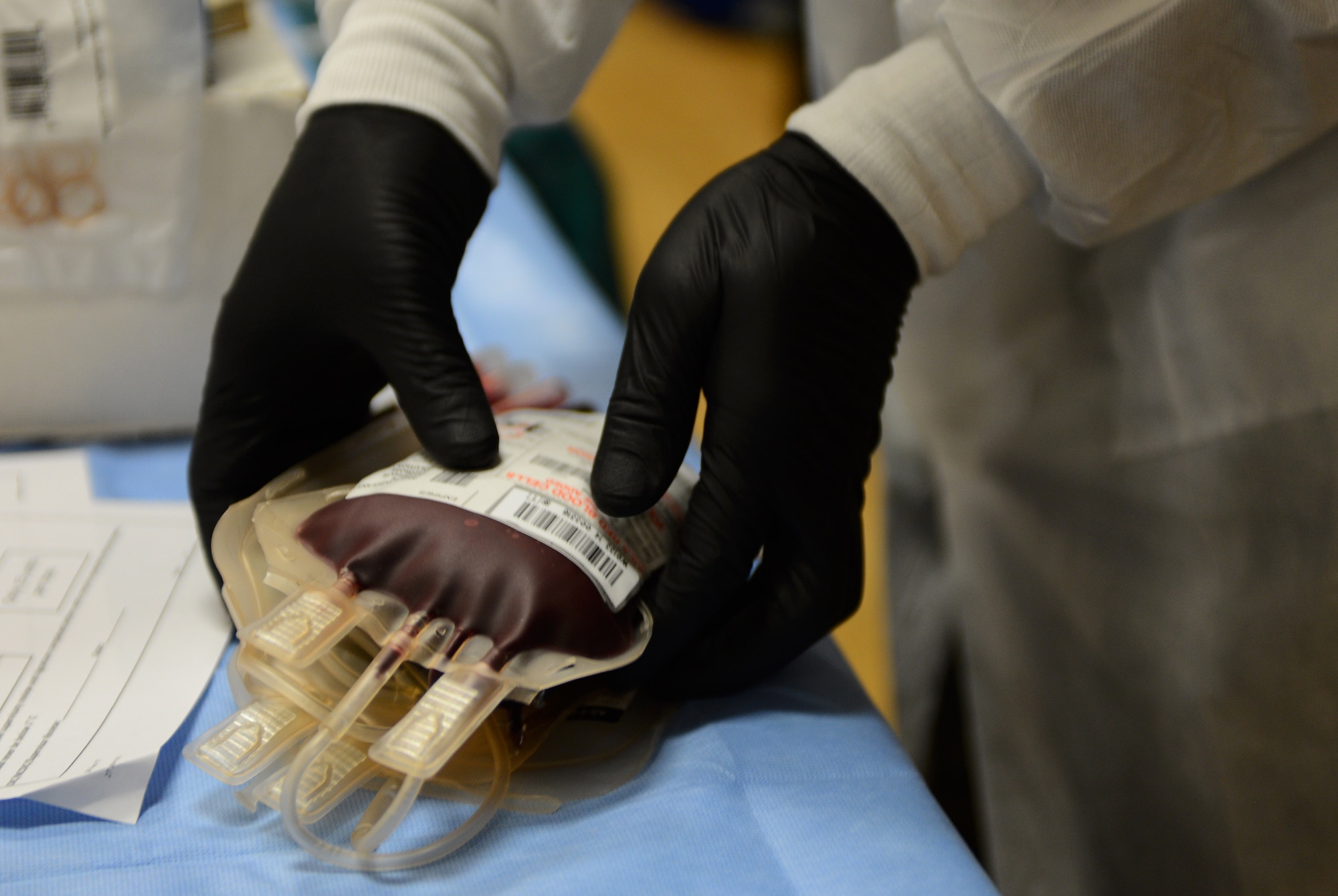 A Landstuhl Regional Medical Center laboratory technician picks up pint bags of blood during an Armed Services Blood Program blood drive at the Brick House Community Center on Spangdahlem Air Base, Germany, Nov. 18, 2014. An ASBP blood drive accumulates nearly 40 units of blood on average during site visits. (U.S. Air Force photo by Airman 1st Class Luke Kitterman/Released)