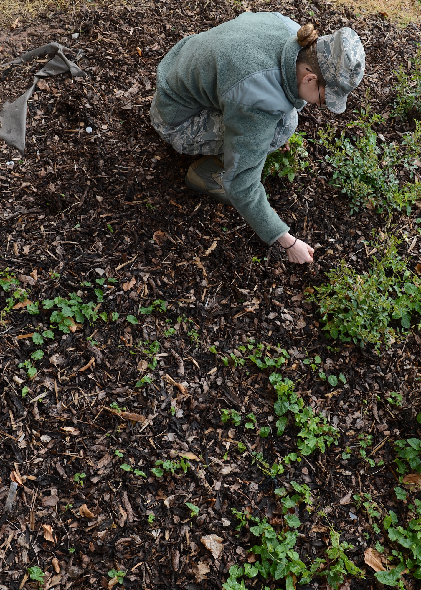 An Airman from Ramstein, pulls weeds and removes garbage from a garden during Base Pride Day on Ramstein Air Base, Germany, April 28th, 2014. Performing a variety of cleaning tasks semi-annually helps improve the overall appearance of the base. (U.S. Air Force Photo/Airman 1st Class Michael Stuart)
