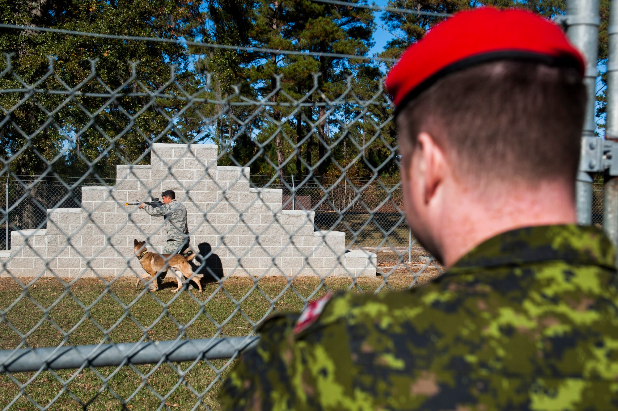 Canadian forces Col. Robert Delaney, Department of National Defence provost marshal, watches a 23d Security Forces Squadron military working dog demonstration Nov. 19, 2014, at Moody Air Force Base, Ga. Delaney plans to use the demonstration to build an MWD program for the Canadian forces. (U.S. Air Force photo by Airman 1st Class Dillian Bamman/Released)