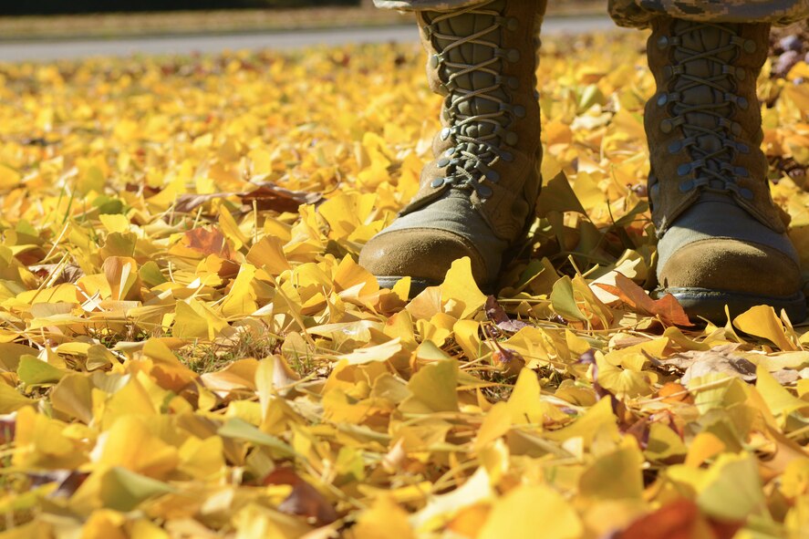 A U.S. Air Force Airman stands in the midst of fallen leaves at Shaw Air Force Base, S.C., Nov. 20, 2014. Autumn marks the transition from summer into winter, in September for the Northern Hemisphere or March for the Southern Hemisphere, when the arrival of night becomes noticeably earlier and the temperature cools considerably. (U.S. Air Force photo by Senior Airman Ashley L. Gardner/Released)