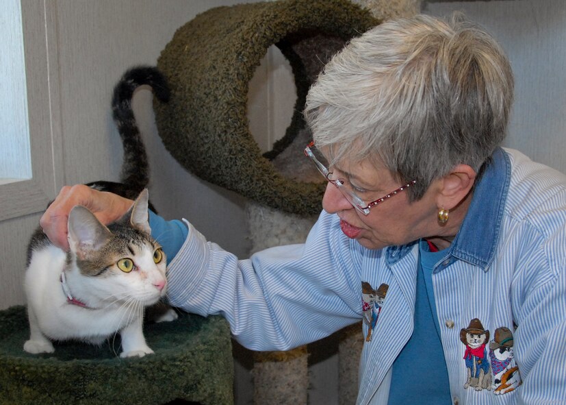 Judy Novak, a Pet Welfare Center volunteer, shares a playful moment with Muse inside the center’s new cat isolation ward.  The ward was added in October and will keep ill cats awaiting fostering or adoption away from healthy cats, while they’re being treated.  (U.S. Air Force photo/Kevin Gaddie)    