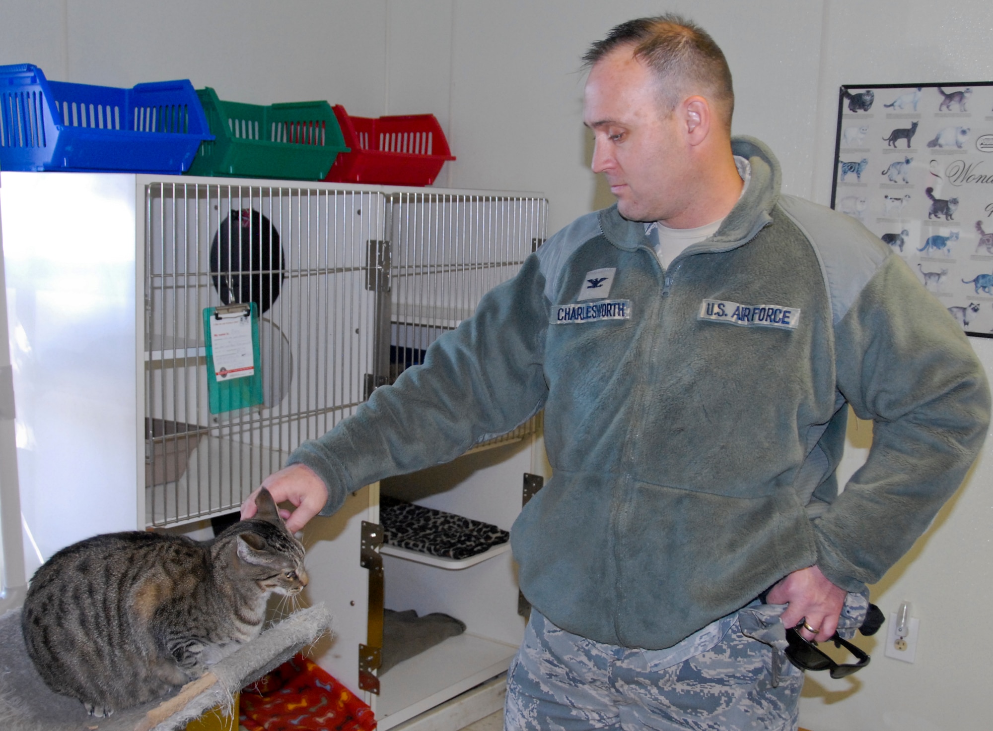 Col. Robert Charlesworth, 96th Mission Support Group commander, pets a cat during a tour of the Pet Welfare Center Nov. 19 at Eglin Air Force Base, Fla.  The center added a cat isolation ward in October to keep ill cats awaiting fostering or adoption away from healthy cats, while they’re bring treated. (U.S. Air Force photo/Kevin Gaddie)