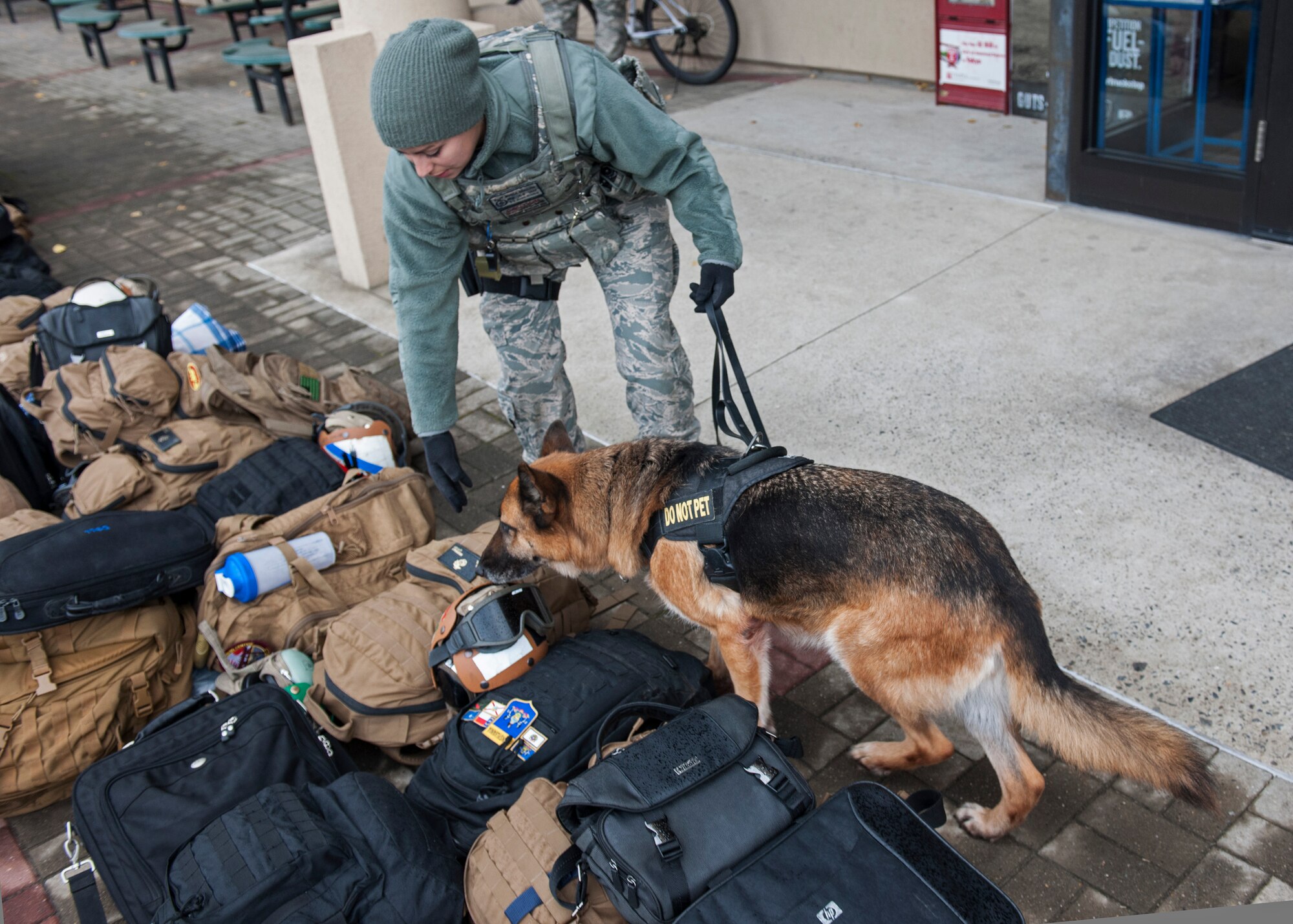Staff Sgt. Monica Bizallion Ruiz, 8th Security Forces Squadron military working dog handler, and her assigned 6-year-old German Shepherd, Stella, conduct a customs security inspection at Kunsan Air Base, Republic of Korea, Nov. 13, 2014. More than 1,000 personnel from various ROK air force units, the U.S. Navy, Marine Corps, Army and Air Force participated in Max Thunder 14-2, the largest biannual joint training exercise on the Korean Peninsula. (U.S. Air Force photo by Senior Airman Katrina Heikkinen/Released)